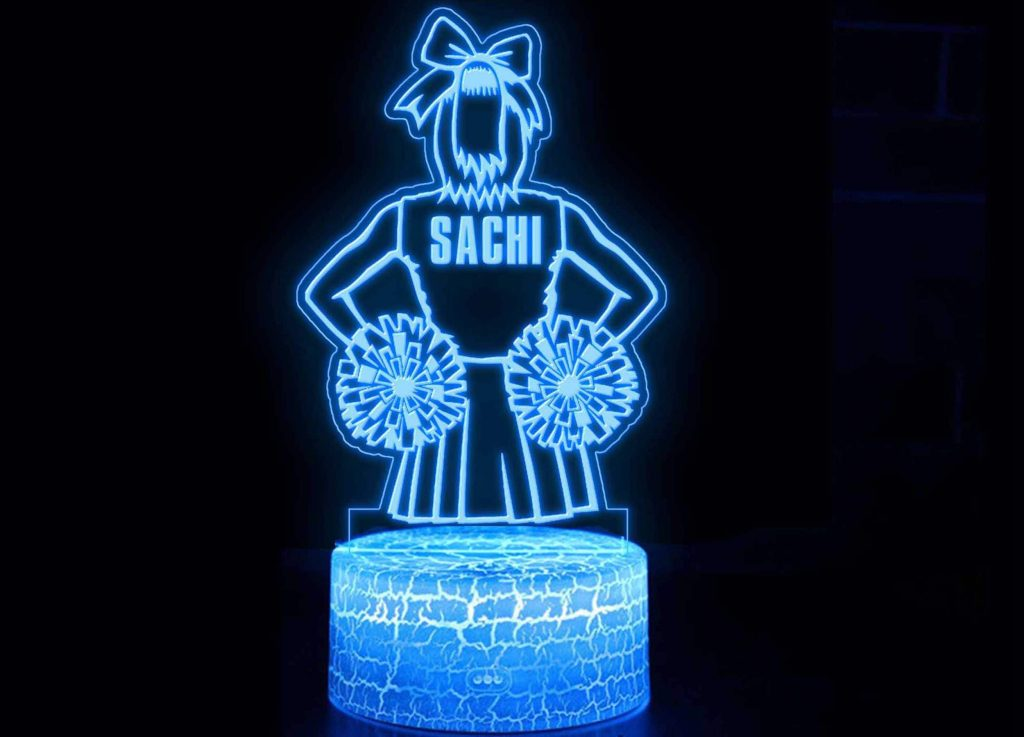 Cheerleading Custom Gifts Led Lamp